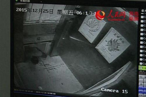 10662582-500 10662582-500