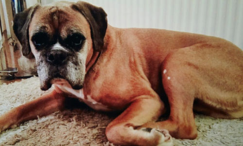 A78E7575DCFB24C762CD86594270B94E A78E7575DCFB24C762CD86594270B94E