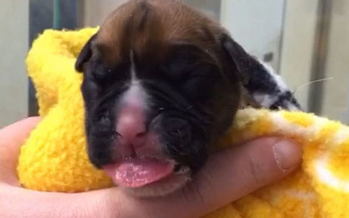 10D186E1EC49CAAA92AE007B4EBC9CC3 10D186E1EC49CAAA92AE007B4EBC9CC3