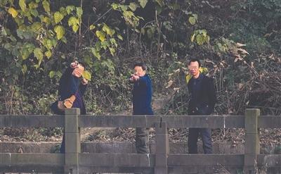 成都鸟友报料:观鸟天堂有人用弹弓打鸟 成都鸟友报料:观鸟天堂有人用弹弓打鸟