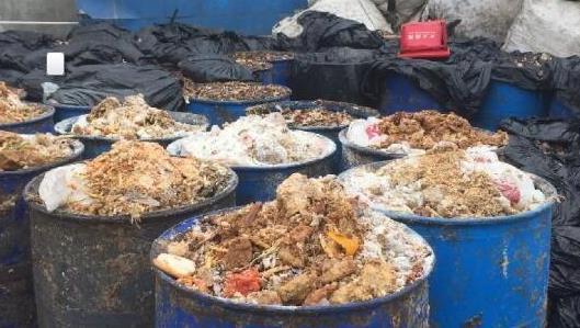 餐厨垃圾违规卖给养殖场 饲养猪吃上了洋快餐 餐厨垃圾违规卖给养殖场 饲养猪吃上了洋快餐