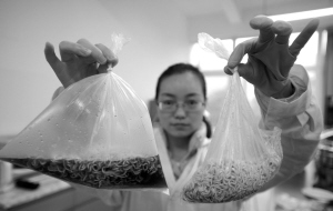 食品袋内的方便面加入可乐后产生大量气泡,袋子很快膨胀