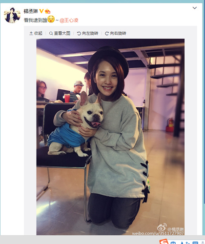杨丞琳抱王心凌爱犬合照萌犬吐舌头竖耳朵（图）