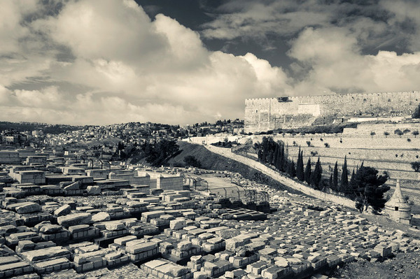 d65-1586249 d65-1586249