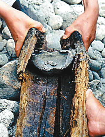 1114314489_afaO1J 1114314489_afaO1J