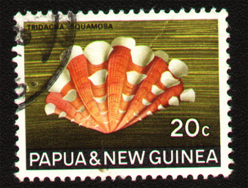 20132179529869 20132179529869