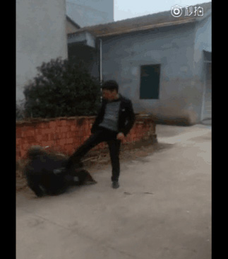 嵊州被打老太有多年精神病史 曾拿石头砸施暴者1 嵊州被打老太有多年精神病史 曾拿石头砸施暴者1