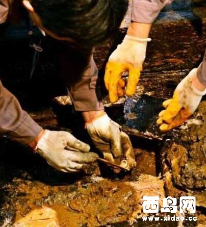 1-151116202511614 1-151116202511614