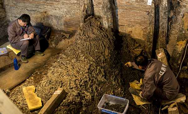 110956o9jvedr333iavjee 110956o9jvedr333iavjee