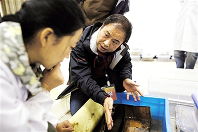 38151448352540762 38151448352540762