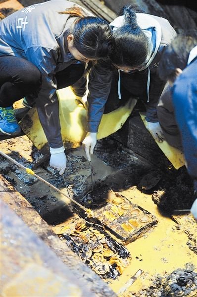 4686085466234177041 4686085466234177041