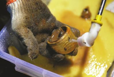 CDF243C5F3A0C91539BB7425B7F9F171 CDF243C5F3A0C91539BB7425B7F9F171