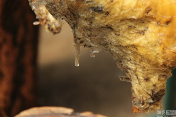 Img432879615 Img432879615