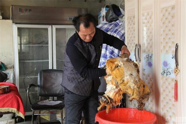 201512291139325021946 201512291139325021946