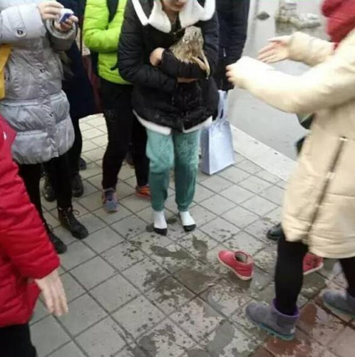 女大学生跳入冰湖救野兔 膝盖以下全湿透2 女大学生跳入冰湖救野兔 膝盖以下全湿透2