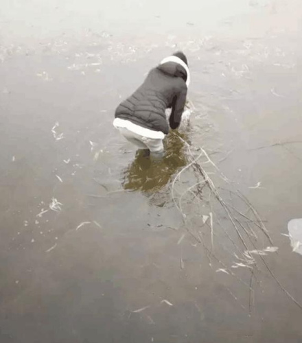 女大学生跳入冰湖救野兔 膝盖以下全湿透3 女大学生跳入冰湖救野兔 膝盖以下全湿透3