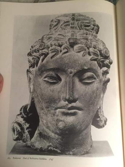 犍陀罗文物收藏图录的面部特写