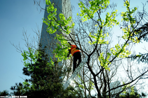 W020151226253970234285 W020151226253970234285