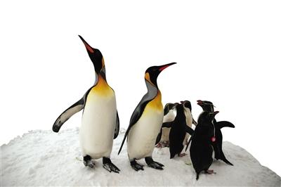 北京今日晚高峰预计提前至16时 元旦假期不限行3 北京今日晚高峰预计提前至16时 元旦假期不限行3