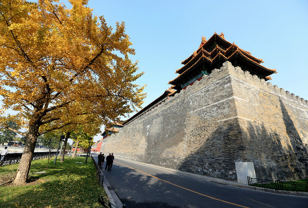 6597868012098260229 6597868012098260229