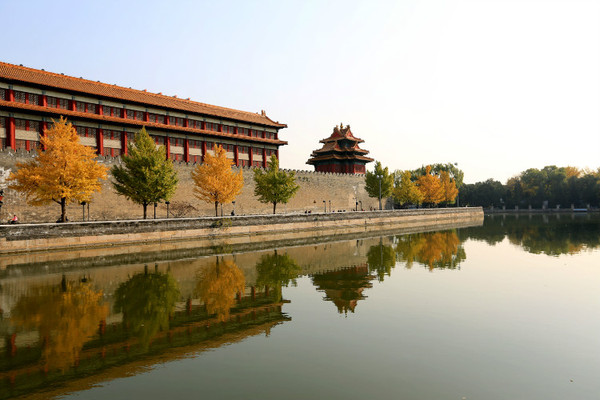 6598132994400377875 6598132994400377875