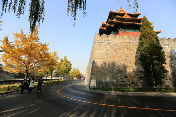 6598159382679444510 6598159382679444510