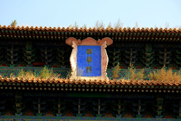 6598193467539905731 6598193467539905731