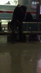 W020151231386328605837 W020151231386328605837