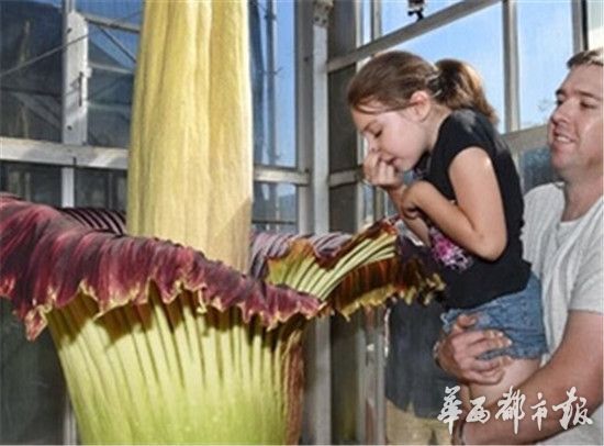 8C88C5584705960FF3684B56F681B296 8C88C5584705960FF3684B56F681B296