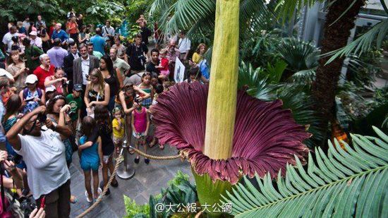 W020151230587877911904 W020151230587877911904