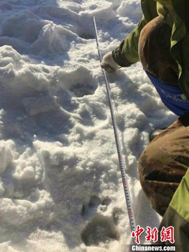 4596847359013438486 4596847359013438486