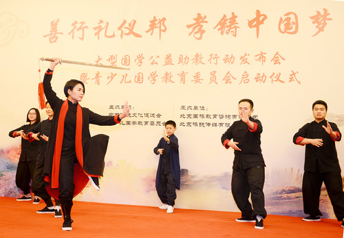 罗子真团队表演《传统杨氏太极拳》