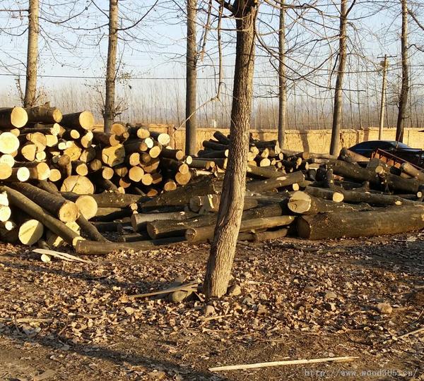 2014127185045443 2014127185045443