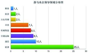 央企大体检六问题严重 能源领域占总人数达39%3 央企大体检六问题严重 能源领域占总人数达39%3