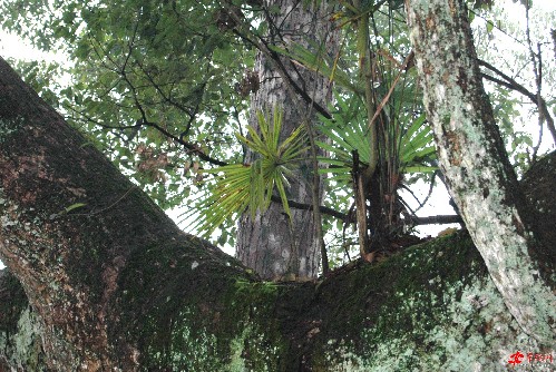 0021858c7a0a0cf7f60c07 0021858c7a0a0cf7f60c07