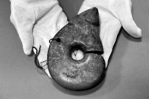 被追回的玉猪龙。