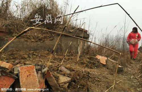 墓地有明显被挖动的痕迹。