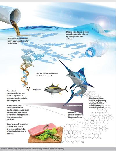 2712922978 (1) 2712922978 (1)