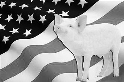 瘦肉精引发口水战“英伦”斗法为何拿美猪开刀?