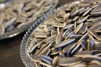 揭秘：中国人为何爱嗑瓜子？