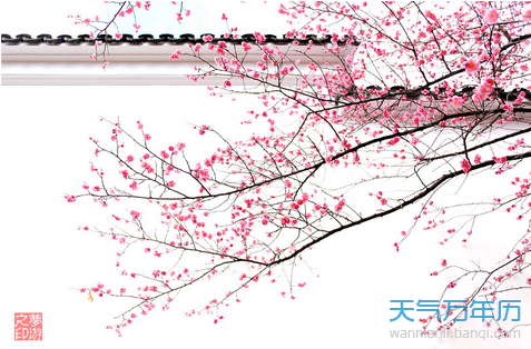 OIPG_151228063213_1 OIPG_151228063213_1