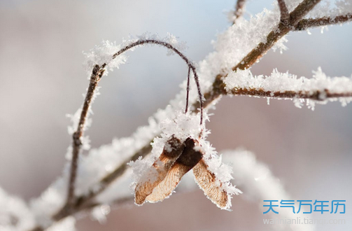 qoqf_151228064631_1 qoqf_151228064631_1