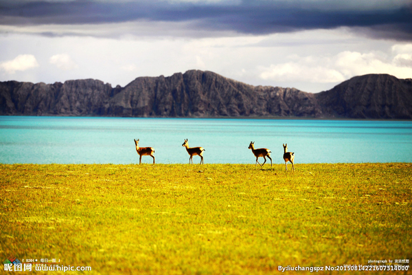 21463195_221607314000_2 21463195_221607314000_2