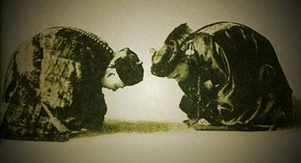 6608253998933805061 6608253998933805061