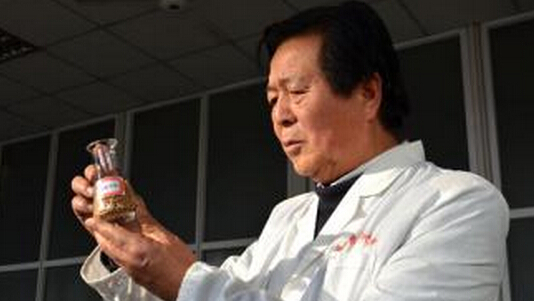 西农大育种专家王辉1 西农大育种专家王辉1