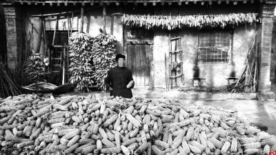 陕西现上门女婿村 有人到离婚连妻子手都没摸过2 陕西现上门女婿村 有人到离婚连妻子手都没摸过2