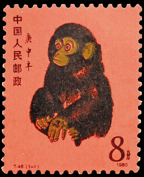 Img372325621 Img372325621