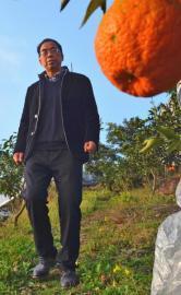 退休厅官卖房创业种柑橘 老伴气得要离婚2 退休厅官卖房创业种柑橘 老伴气得要离婚2