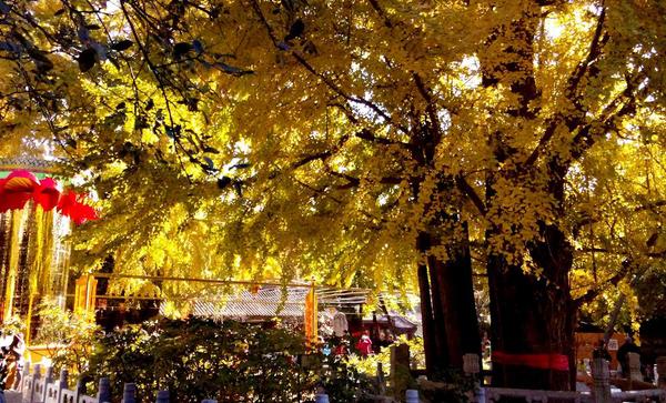 028e231fb4754641b8c727f0e587945b 028e231fb4754641b8c727f0e587945b