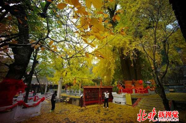 201601090417077941-600x399-shuiyin 201601090417077941-600x399-shuiyin